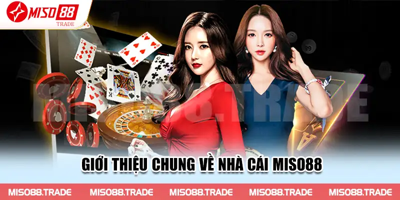 Giới thiệu chung về nhà cái Miso88