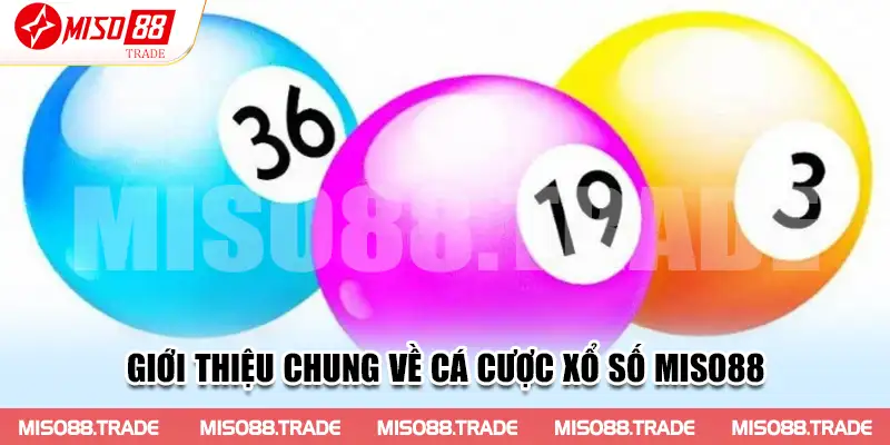 Giới thiệu chung về cá cược xổ số Miso88