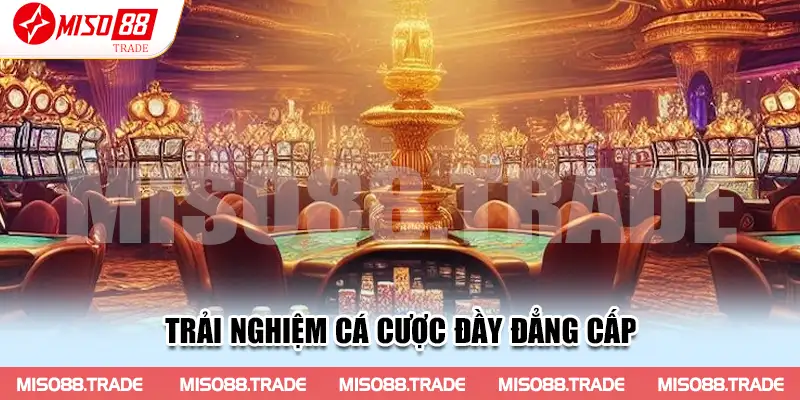 Trải nghiệm cá cược đầy đẳng cấp cùng website chính thức của Miso88